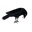 Broque logo